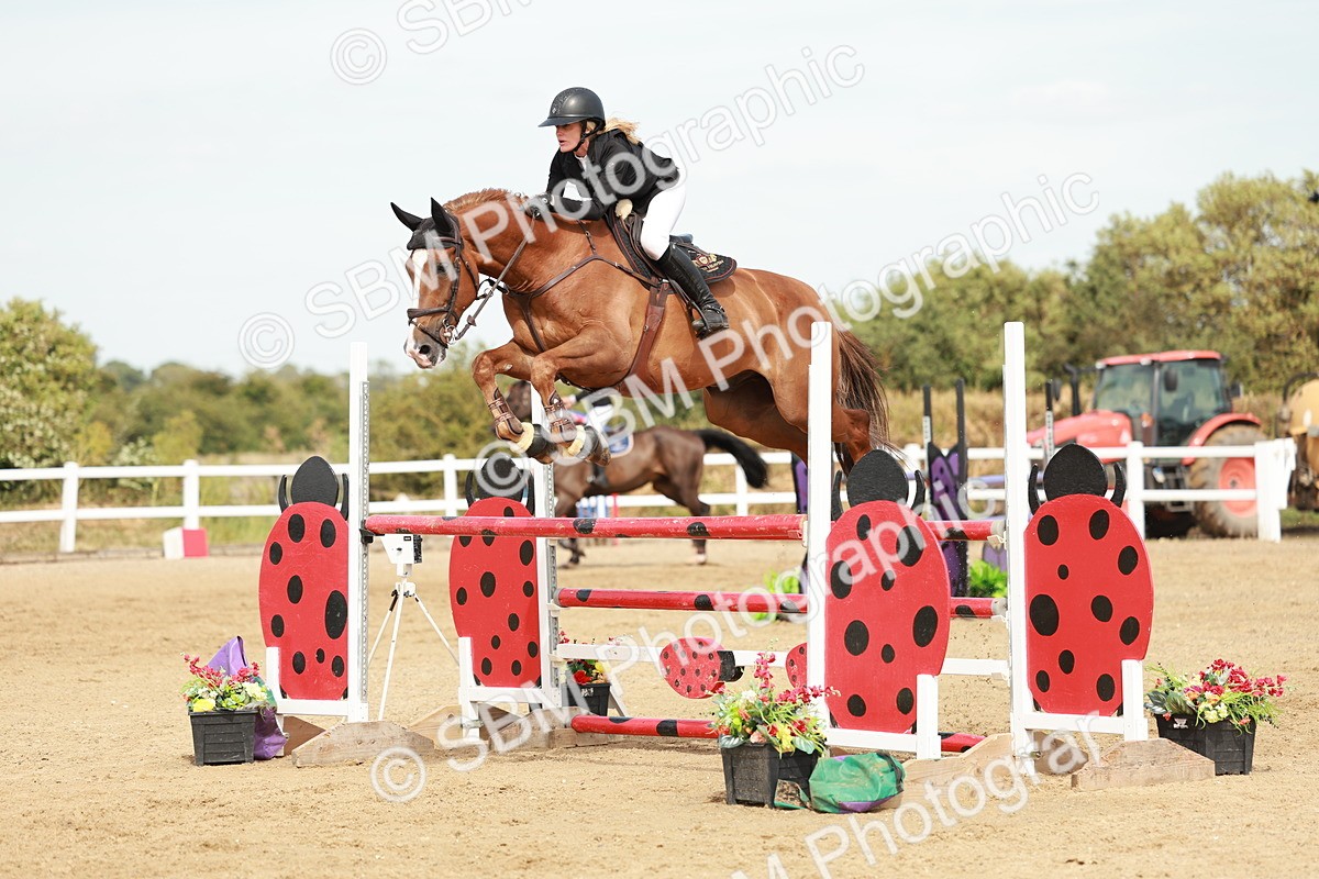 SBM_008145 - Class 4 - Senior Foxhunter - 1.20m Open