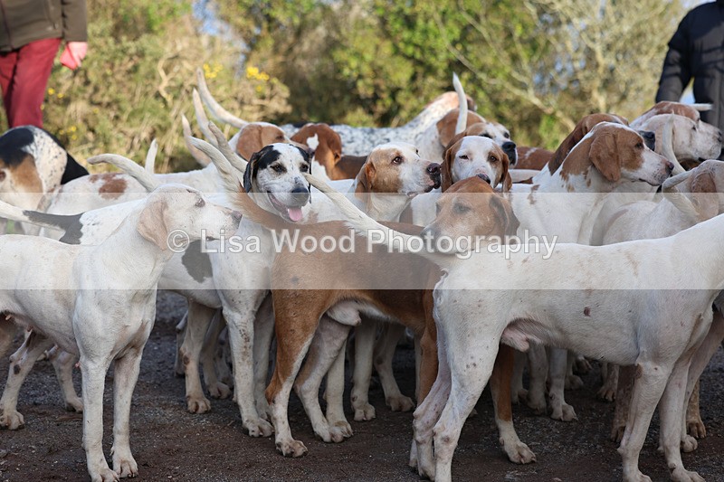 3E7A5307 - FBH Carn Brea 26.12.2025