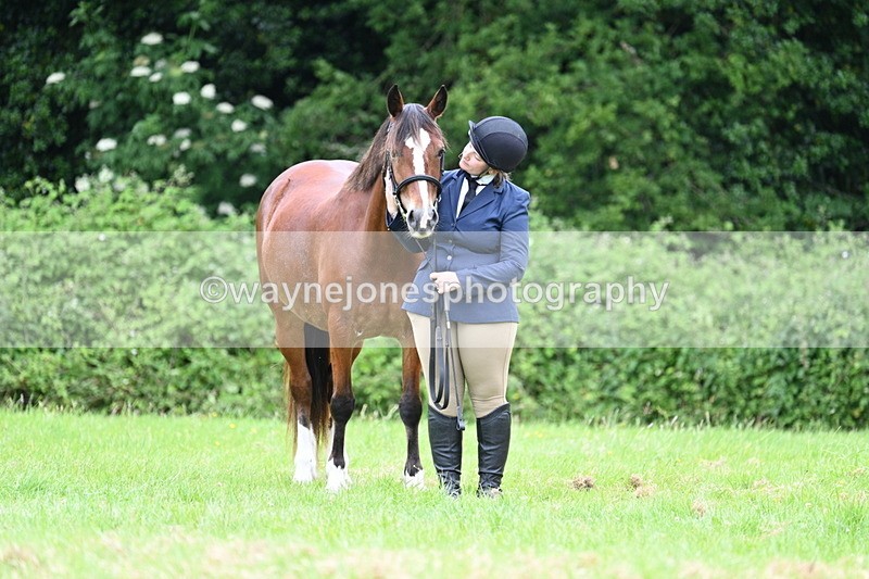 WJ7_4466 - Class 14B Prettiest Mare