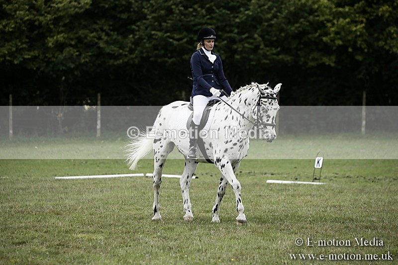 BVR080918 288 - BVRC Novice Dressage & CR 08/09/18