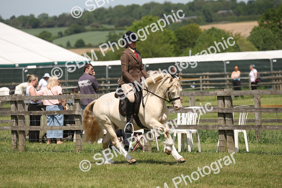 SBM_06917 - Class 26-30 - Mountain and Moorland Ridden
