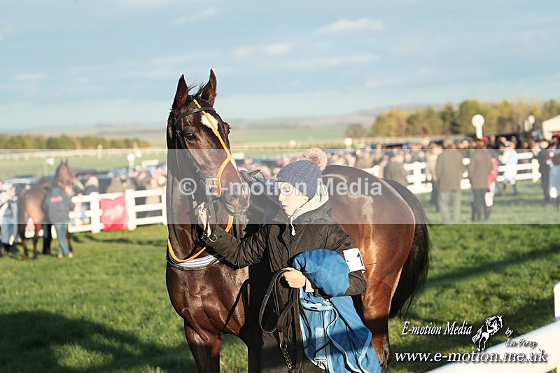 PtP 301125  0869 - Hursley Hambledon Point-to-Point Larkhill Racecourse 30/11/2025