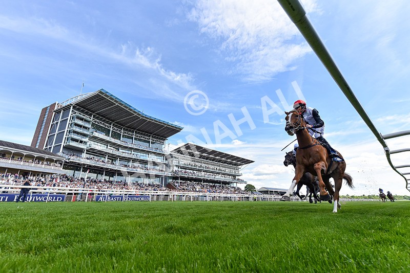 230526-Race 4-Danielle-8504 - Race 4 15.15pm William Hill Bronte Cup Fillies' Stakes