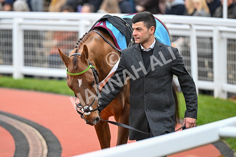 171124-Race 5-Paddock-Under Control-3846 - Race 5