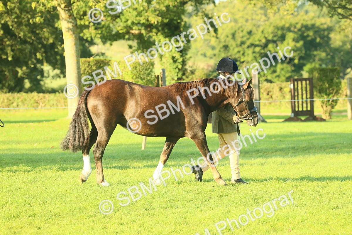 SBM_56772 - S36 - Starters Best Turnout