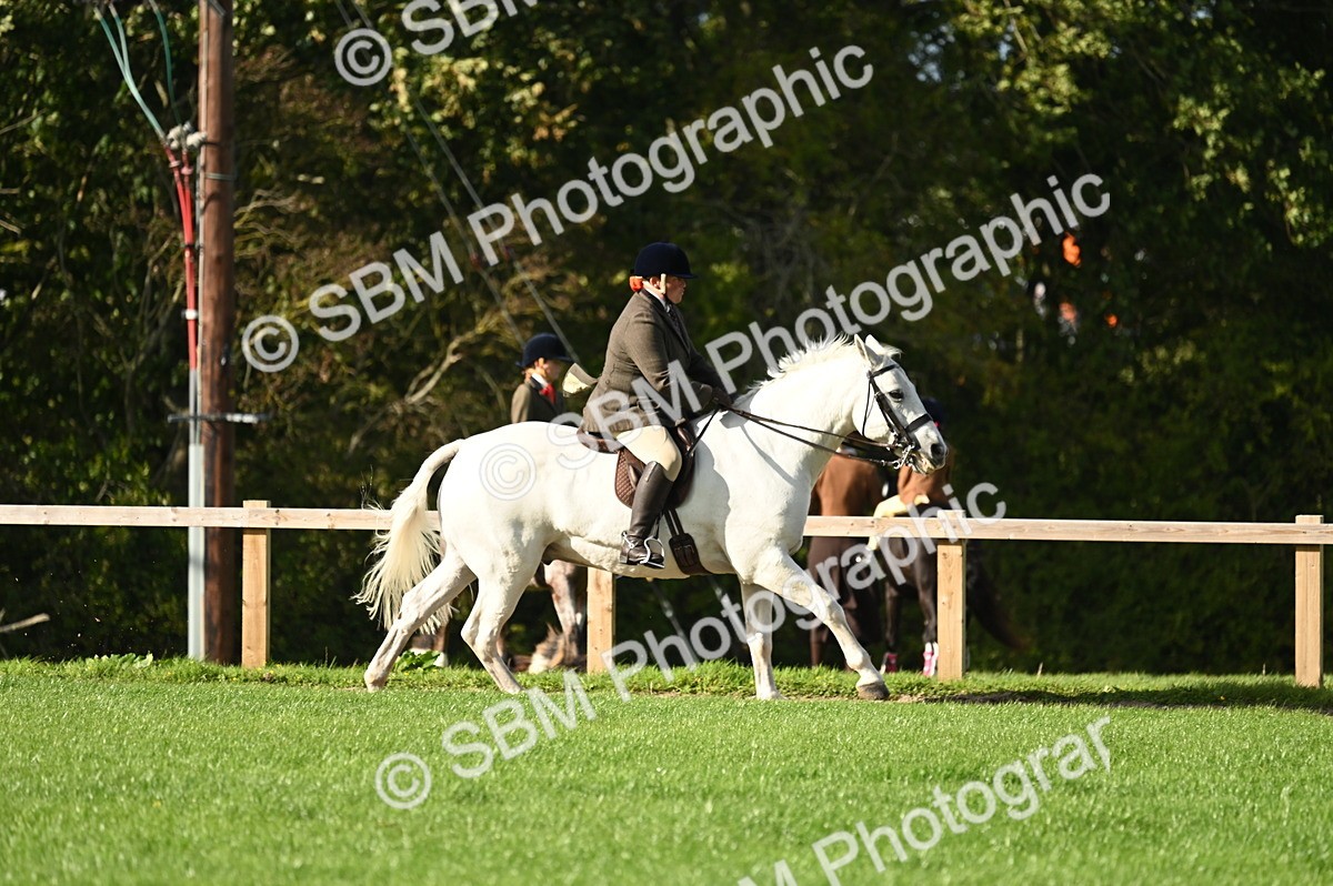 SBM_26452 - S6 - Novice & newcomer Ridden horse