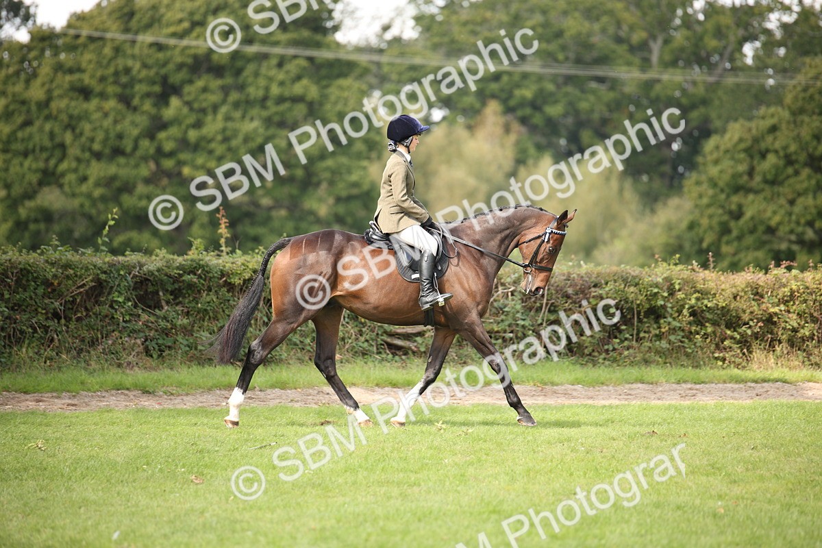 SBM_65905 - S64 - Riding Horse & Hack & Thoroughbred Ridden