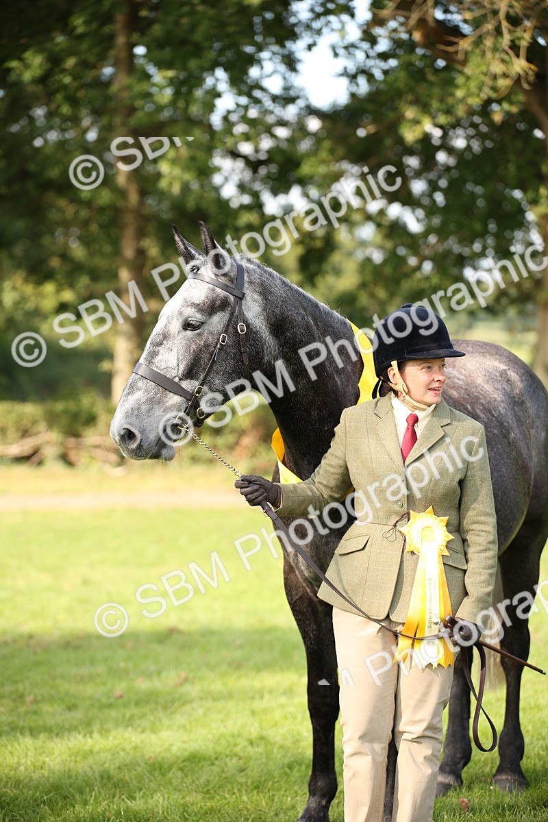 SBM_60136 - S53 - Hunter In Hand