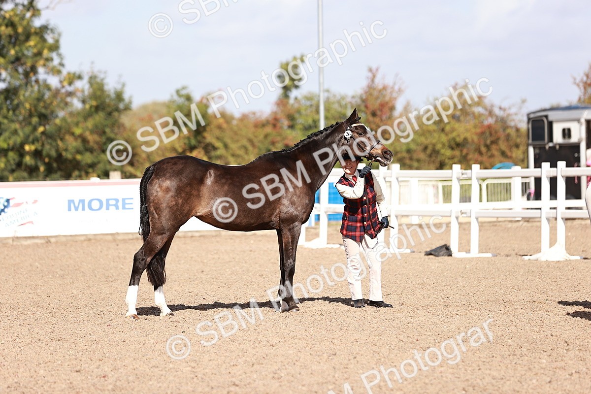SBM_22783 - Class 705 - IH Combination 65+