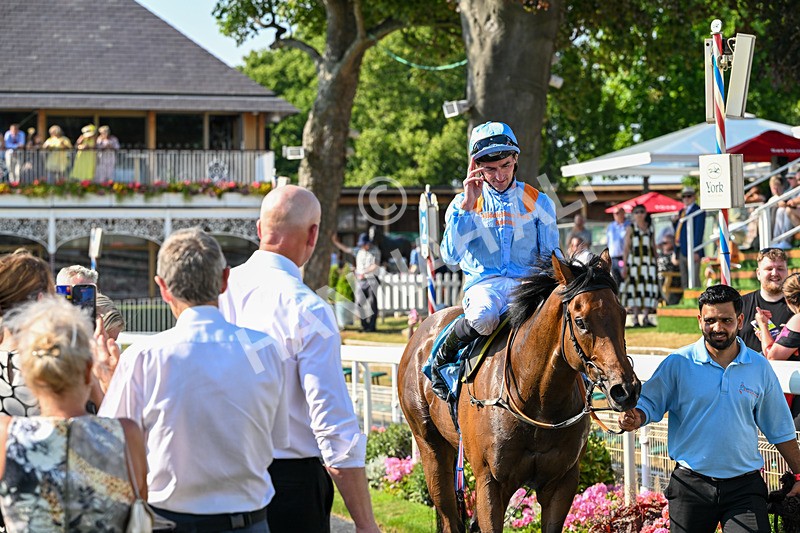 100726-Race 6-Ziggys Triton-0778 - Race 6 17.05pm William Hill Keep Your Raceday Positive Handicap