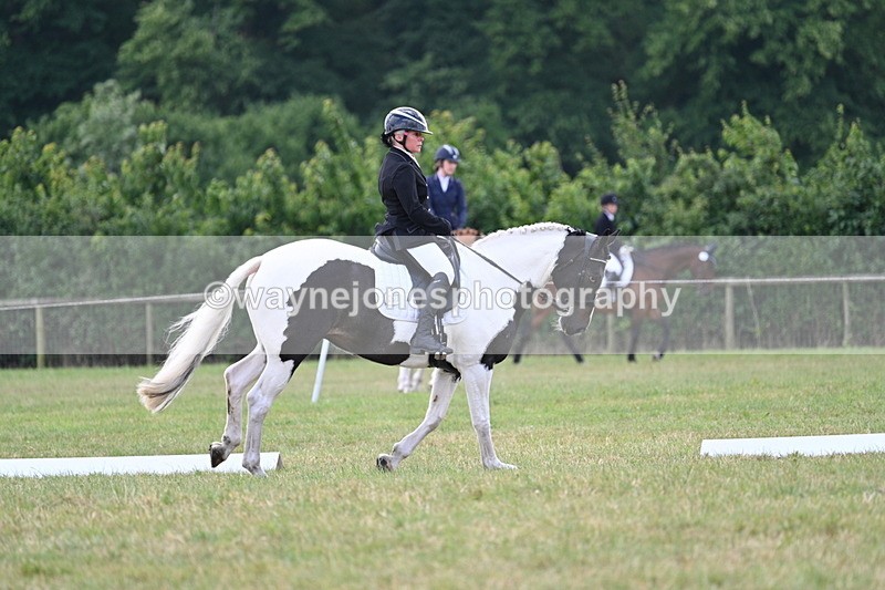 WJ7_5264 - Time 11:22 to 11:51