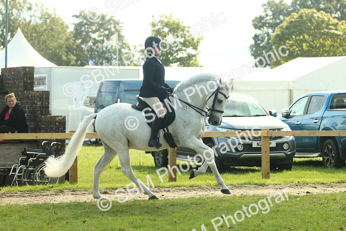 SBM_62451 - S62 - Foreign Breeds Ridden