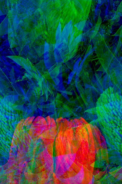 STILL LIFE-CYCLE - STILL LIFE-CYCLE I 2012