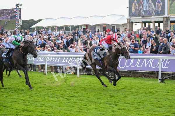 230824-Race 4-Bradsell-9418 - Race 4 3.35pm Coolmore Wootton Bassett Nunthorpe Stakes