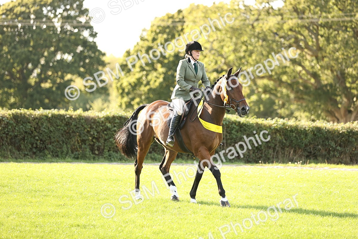 SBM_26509 - S6 - Novice & Newcomers Ridden Horse