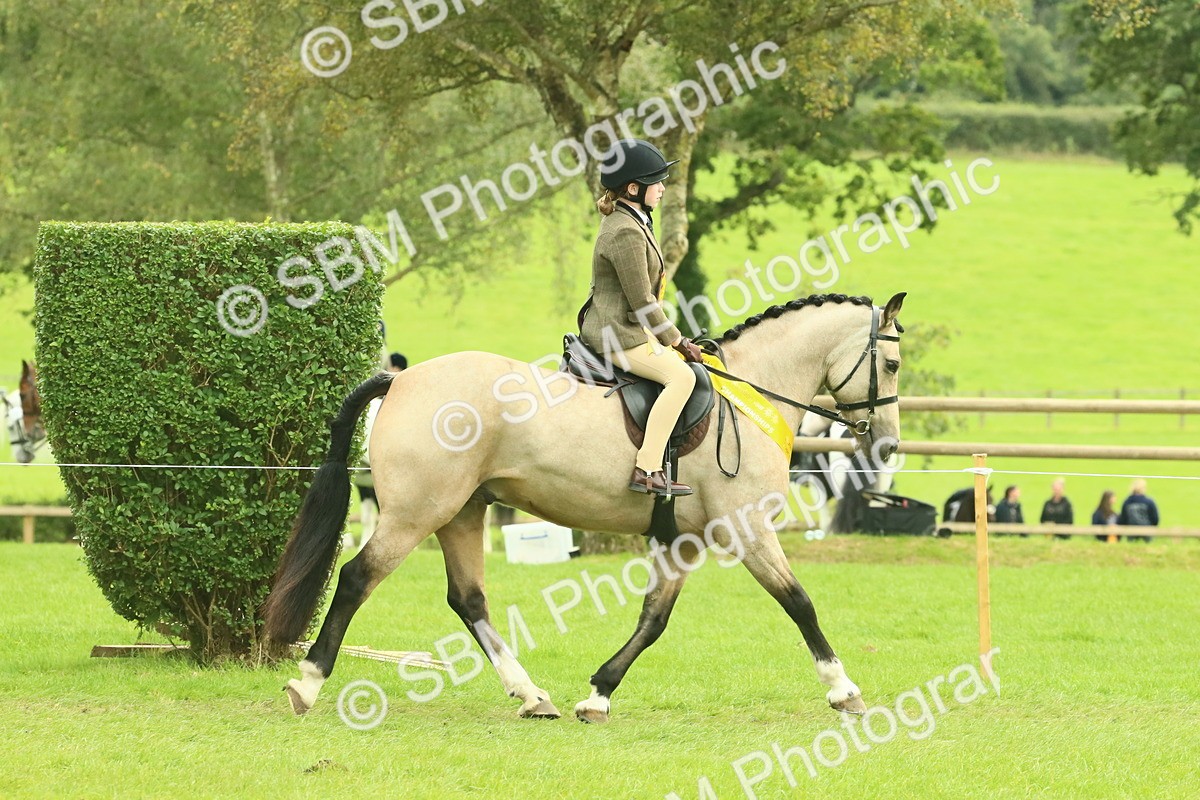 SBM_74998 - Ridden Pony Supreme Championship