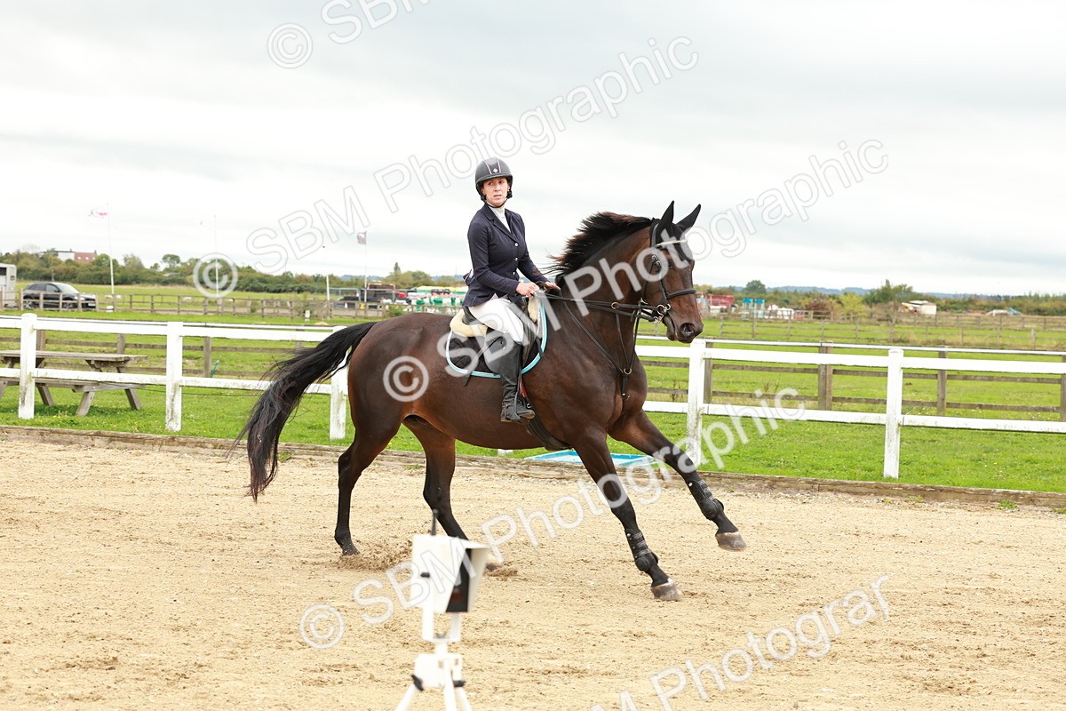 1I0A6947 - Class 2 - Senior British Novice