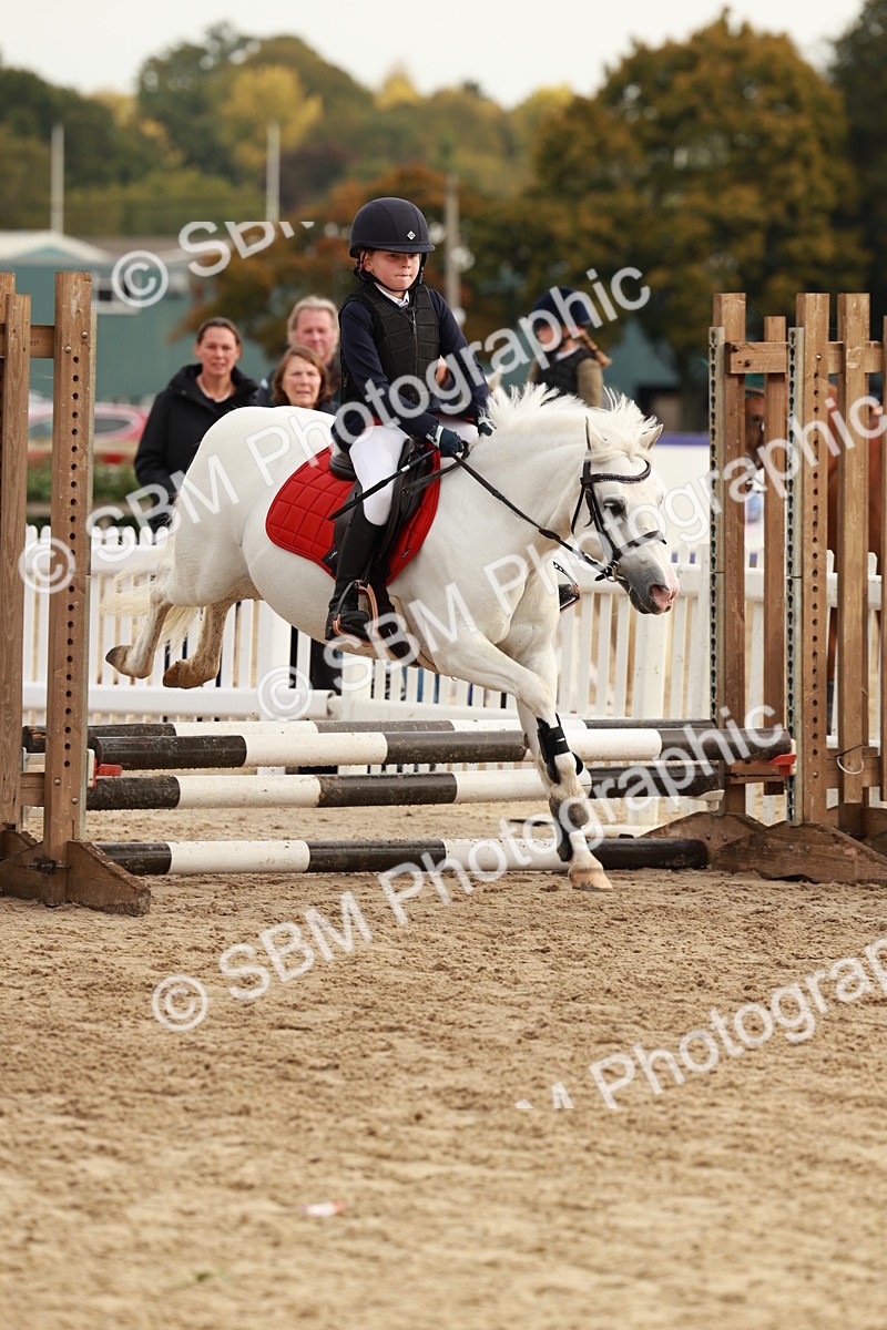 SBM_55772 - J11 - Junior Pony 50cm Championship