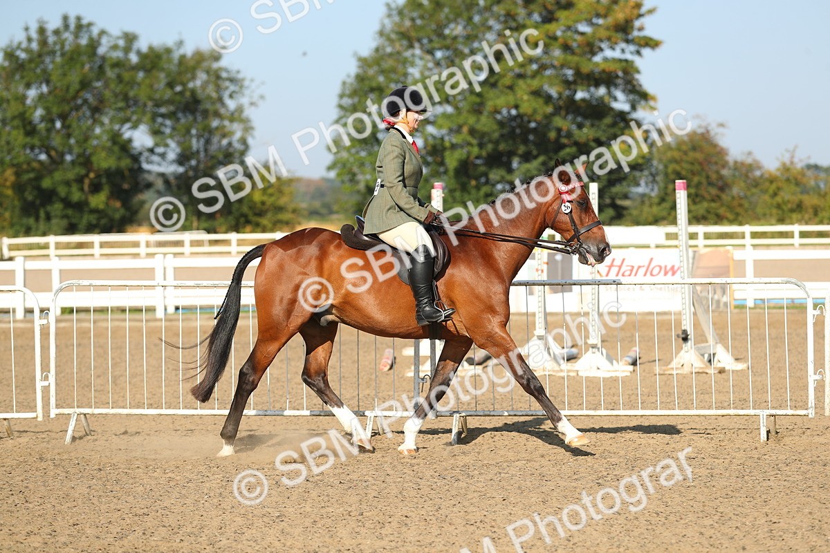 SBM_01118 - Class 42 Ridden Veteran