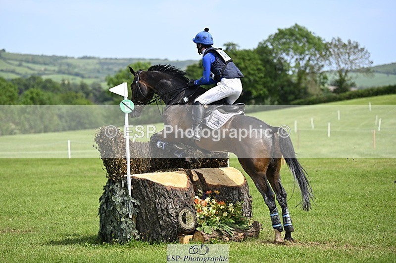 240525-141130-14885 - 162-HAZZLE_DAZZLE-Henry_Hobby