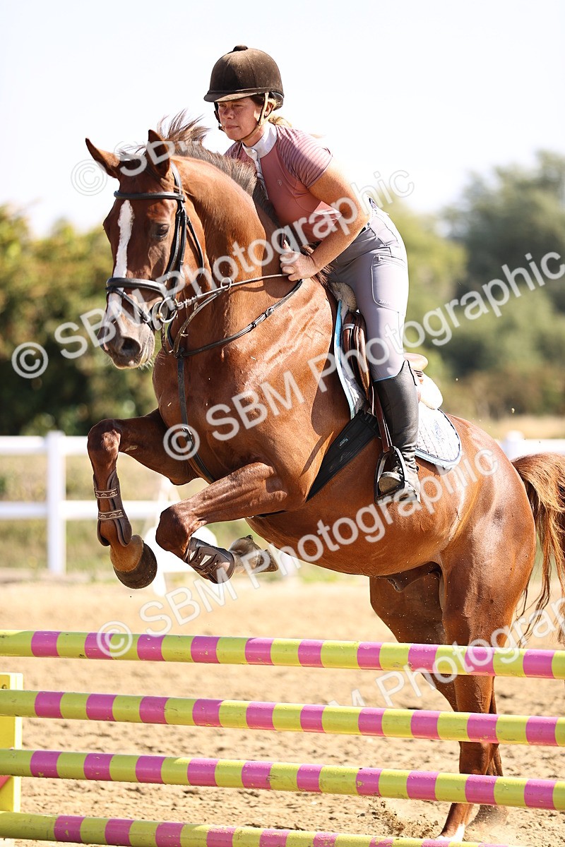 SBM_005603 - Class 9 - Senior British Novice - 90cm