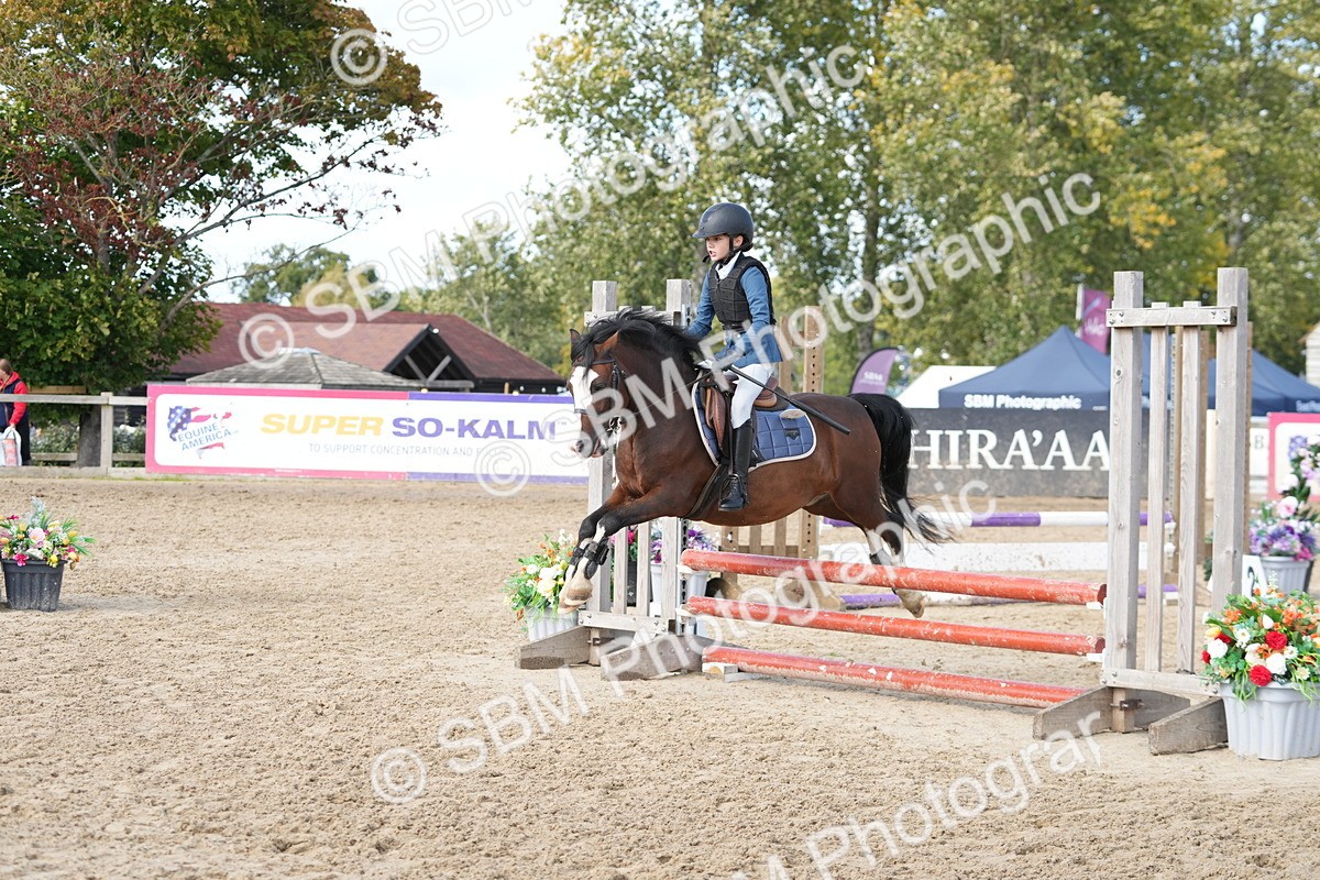SBM_46928 - J7 - Junior Pony 60cm Championship
