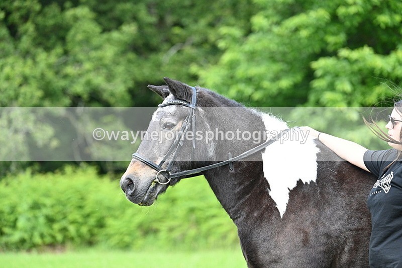 WJ7_1629 - Class 11 Condition & Turnout