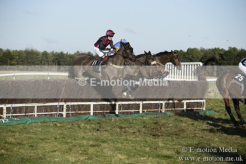 PtP 070118 -398 - Larkhill Racing Club Point to Point Larkhill 07/01/2018