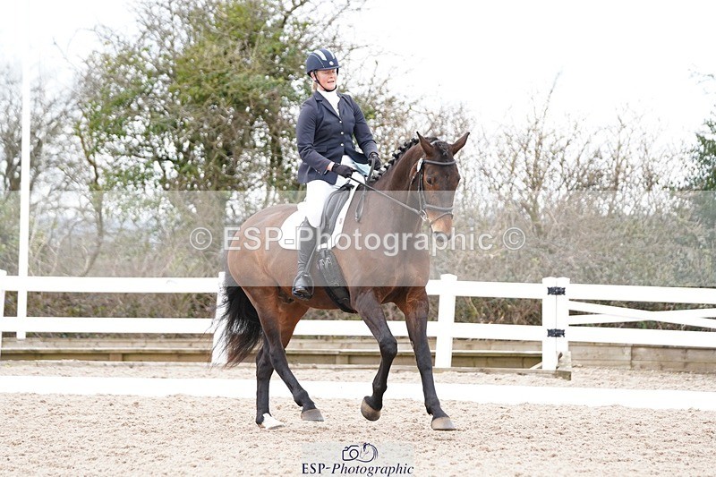 250322-121802-00331 - DR Novice 2 Test