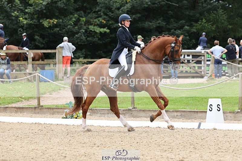 240810-133421-03344 - 188-Amanda.Towle.Shaw-Rockwood.Virtue