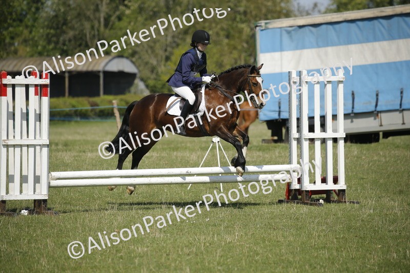 20250427-2128 - Class 13 - Novice Jumping 60cm