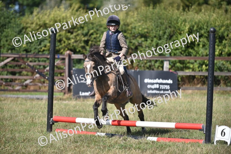 20260906-1418 - Class 8 - Hoof and Foot
