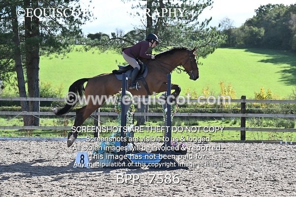 BPP_7586 - CLASS 8 Senior Newcomers/ 1.10m Open
