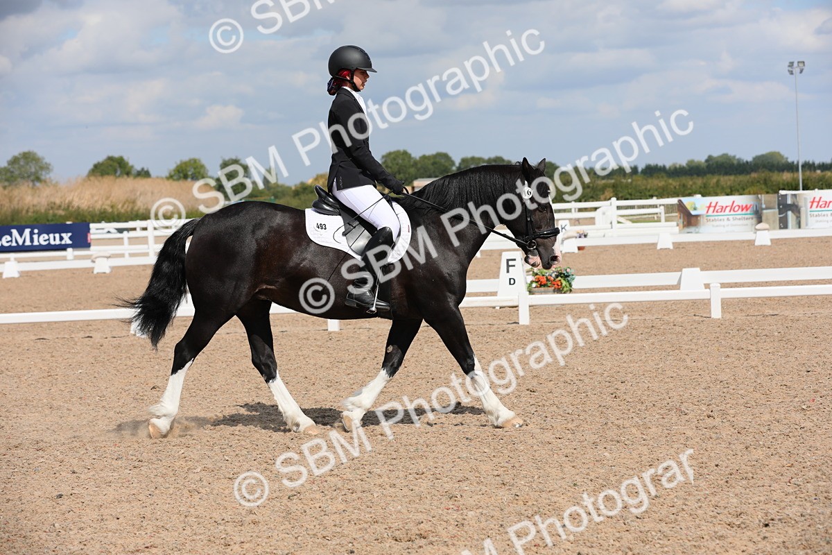 SBM_04177 - Class 31 Prelim 1