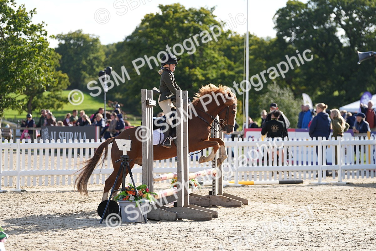 SBM_49365 - J8 - Junior Pony 65cm Championship