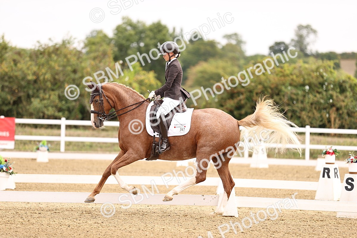 SBM_011532 - Class 1 - Medium 5