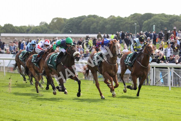 yr12052022r3-24 - Race 3 3.00pm The Paddy Power Hambleton Stakes