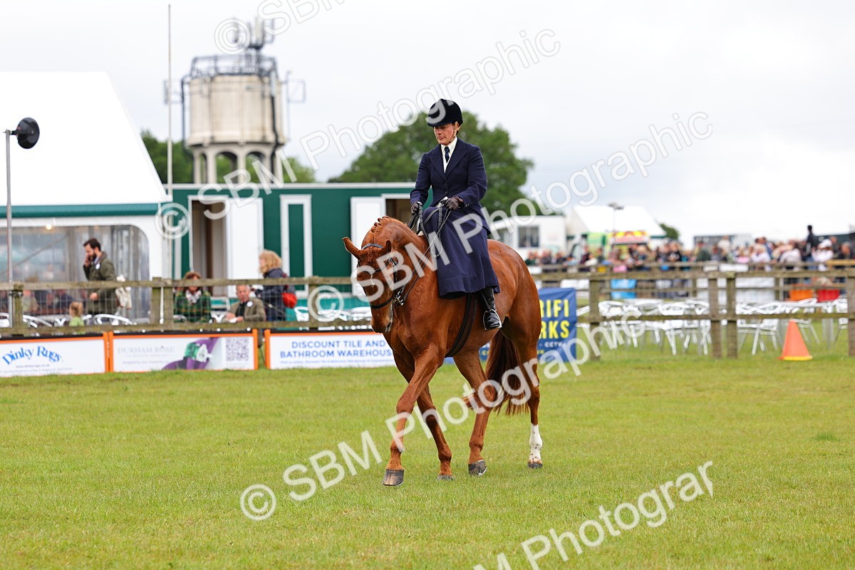 SBM_02949 - Class 9-11 Side Saddle including LIHS Rising Star Ladies Show Horse