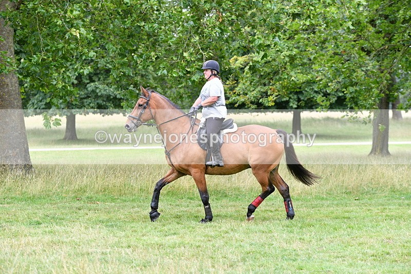 WJ5_3118 - Time at Jump 14:47 to 15:17