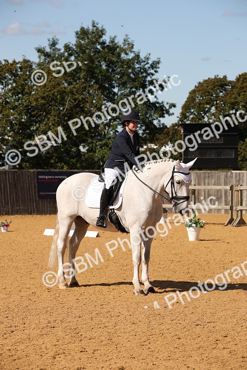 SBM_24145 - D5 - Small Tour Championship - Intro C