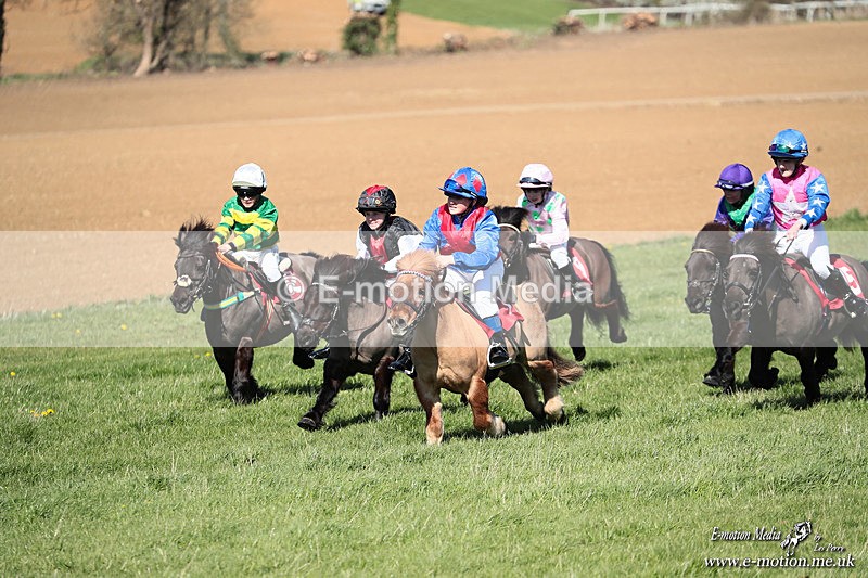 Shet 060426 274 - Shetland Pony Racing Paxford Races Easter Mon 06/04/26