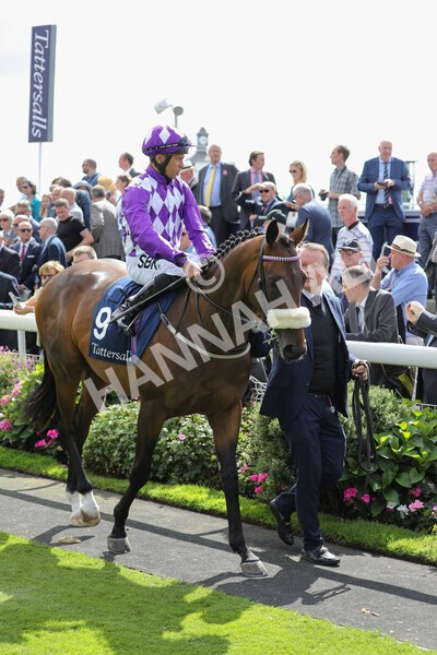 yr17082022r2-4 - Race 2 2.25pm Tattersalls Acomb Stakes