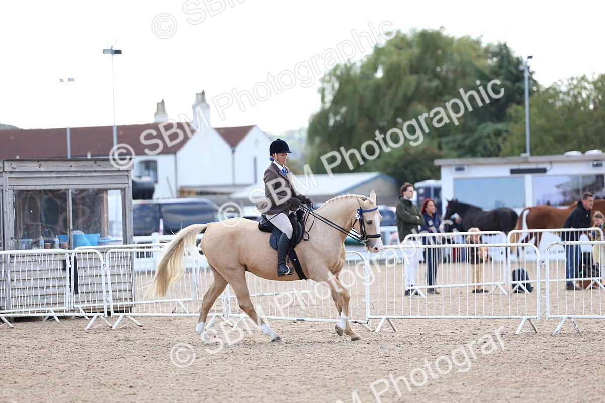 SBM_11226 - Class 306 - Ridden Foreign Breeds - Part Bred