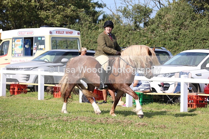 JPP_1734 - Class 19: Cornish Combination Open
