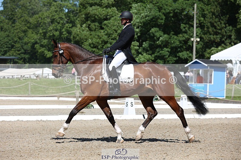 230526-105343-05340 - 365-BWE_NEWTON_DE_JASPER-Adam_Harvey-WEDTrotUp+DR