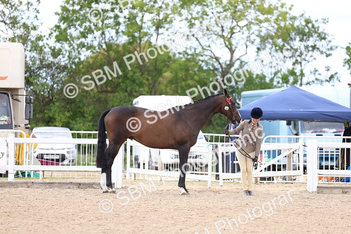 SBM_15268 - Class 313 - IH Retired Racehorse