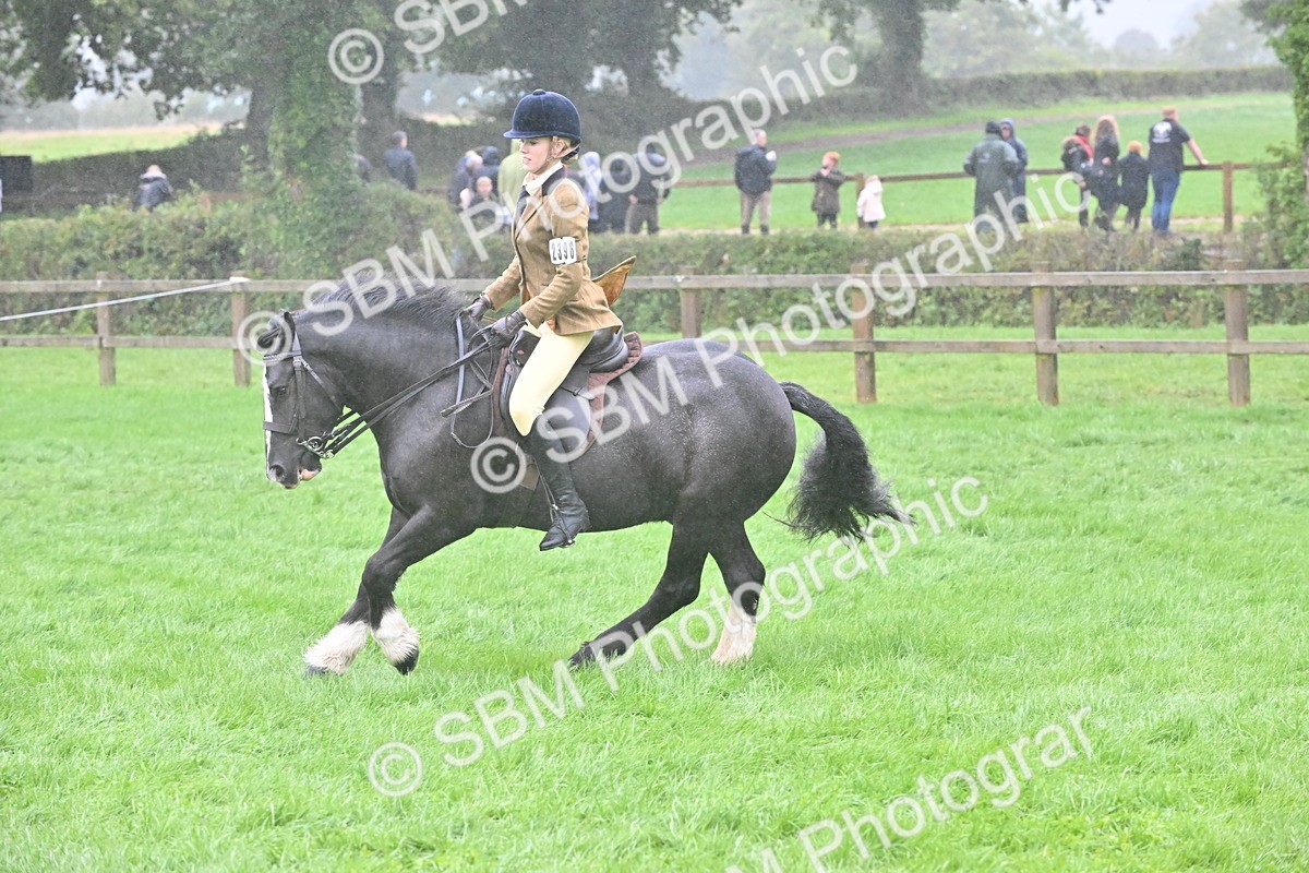 SBM_72430 - S43 - Ridden Equitation Best Rider