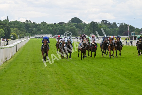 140624-Race 2-Inconspicuous-3936 - Race 2 2.25pm CGE Yorkshire Rous Selling Stakes