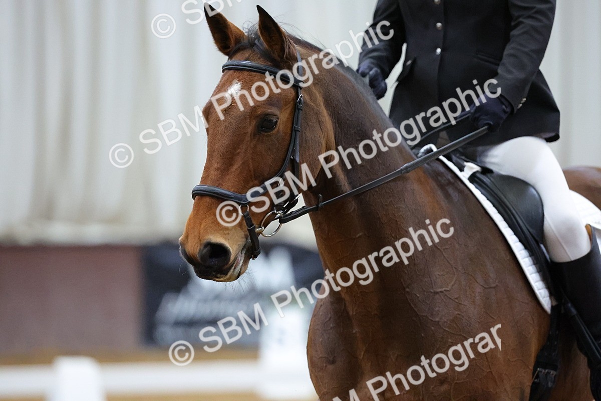 SBM_001018 - Novice