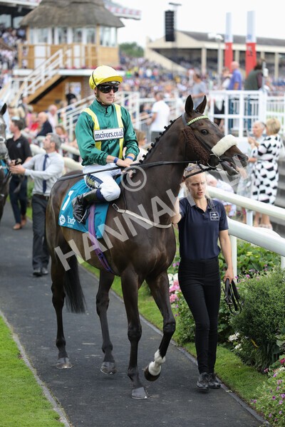 yr23072022r6-9 - Race 6 5.00pm Sky Bet Partnership with Support Dogs Stakes